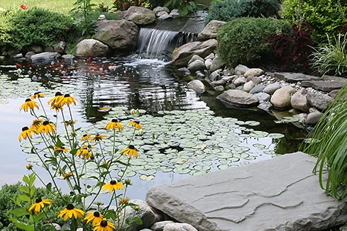 Gartenteich mit Seerosen und Wasserfall